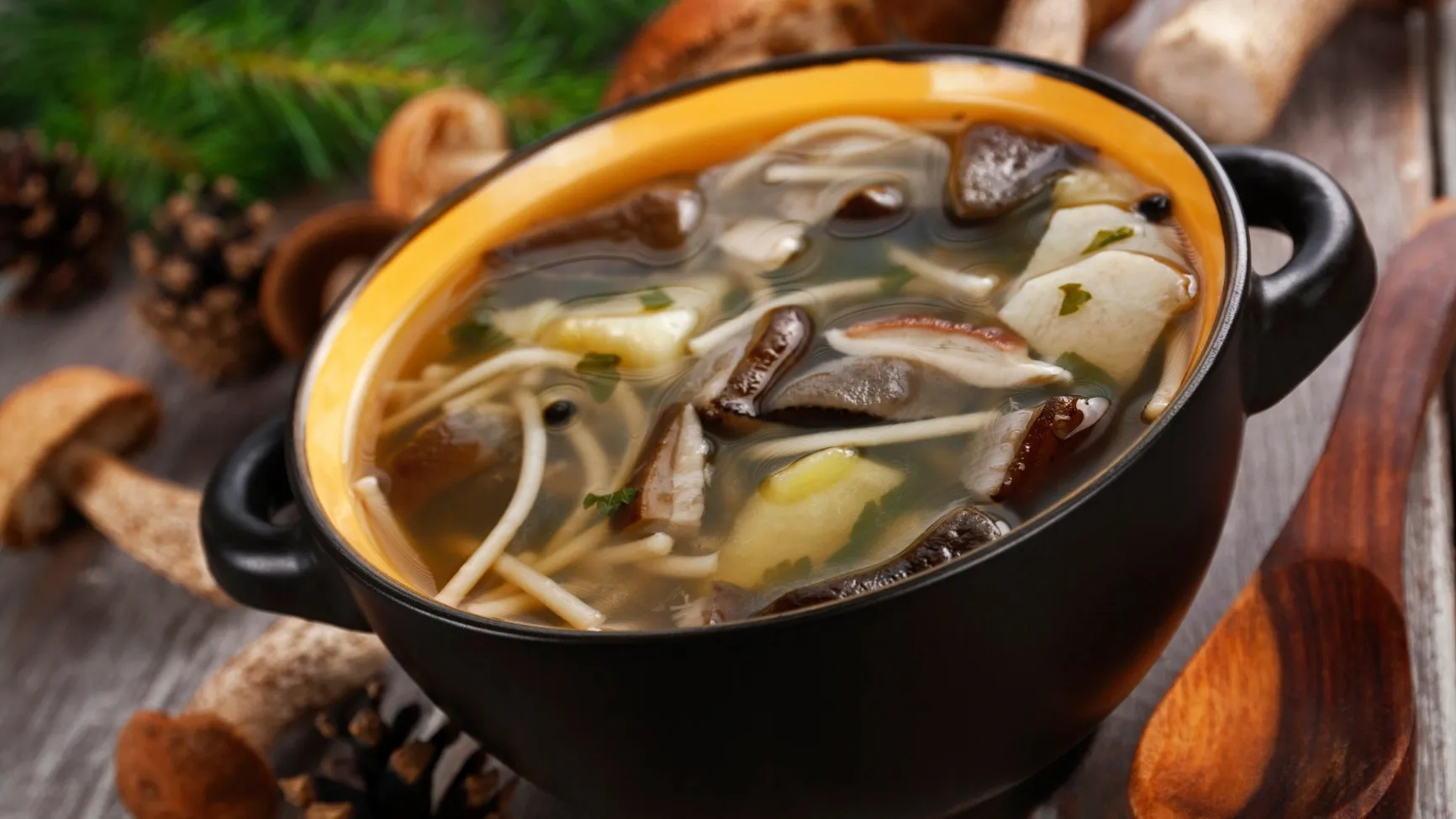 Curandera - Jak jeść grzyby, żeby leczyły, a nie szkodziły?