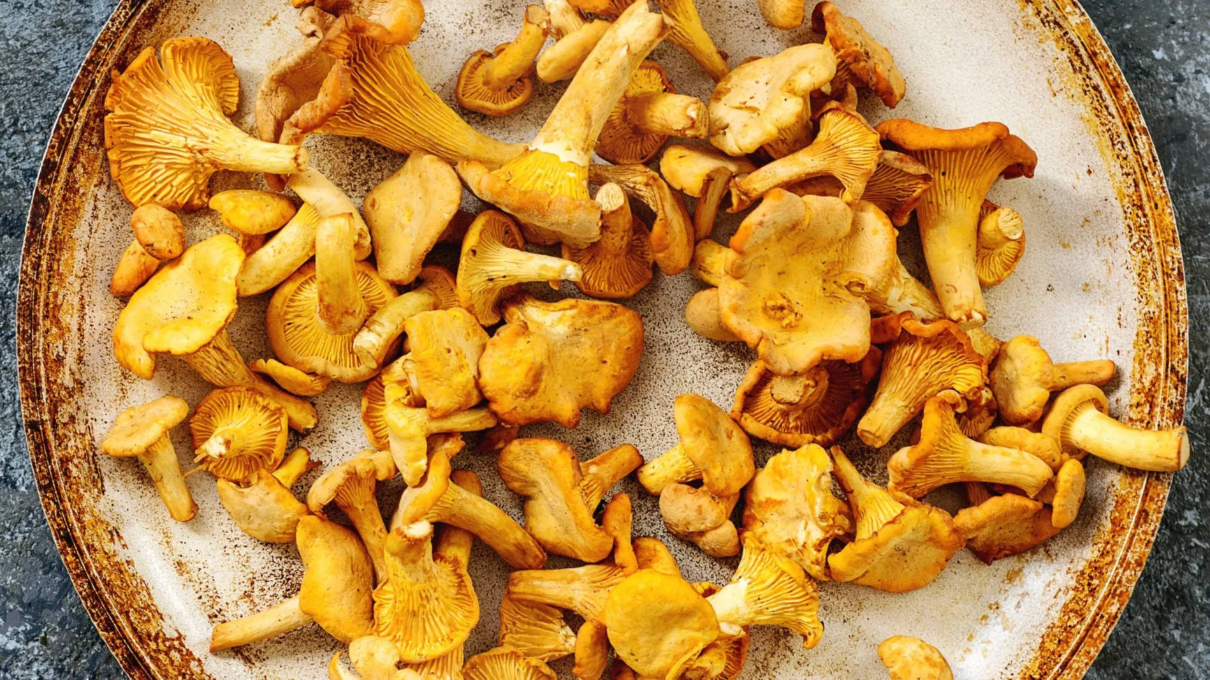 Curandera - Jak jeść grzyby, żeby leczyły, a nie szkodziły?