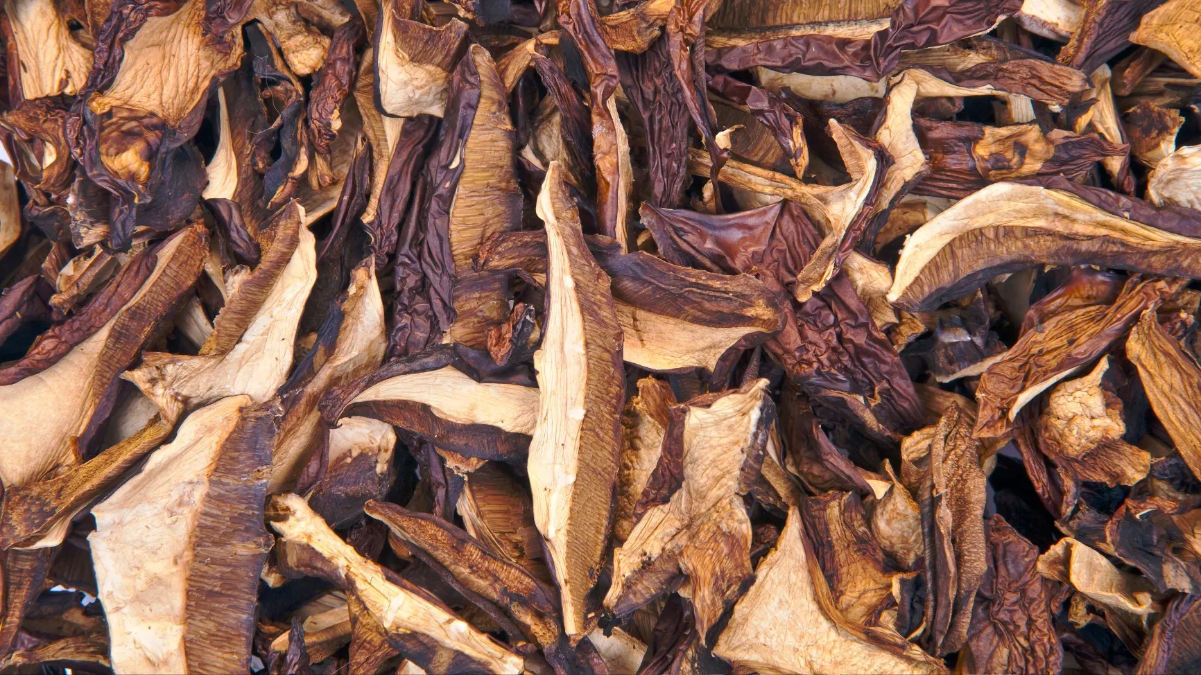 Curandera - Jak jeść grzyby, żeby leczyły, a nie szkodziły?