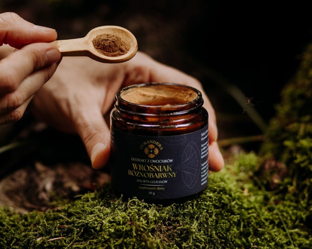 Curandera - Czy grzyby witalne można przedawkować? Dawkowanie grzybów witalnych w praktyce Curandera - Czy grzyby witalne można przedawkować? Dawkowanie grzybów witalnych w praktyce