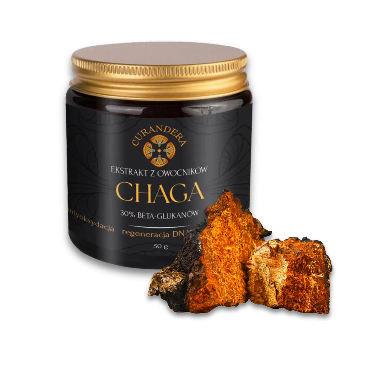 Chaga - Curandera
