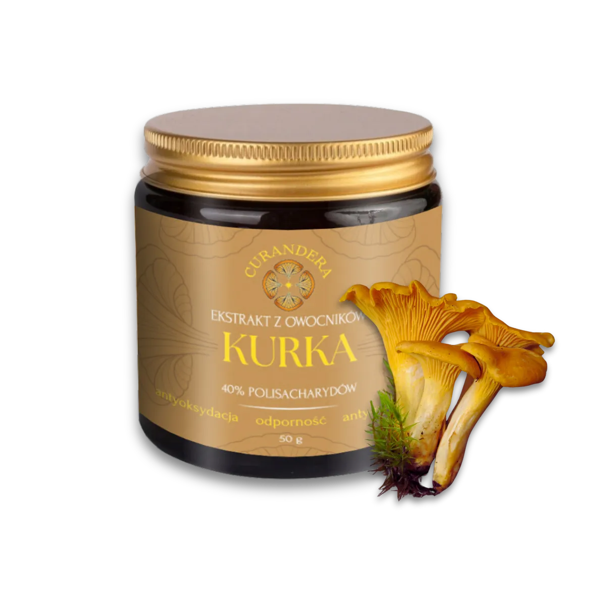 Kurka - Curandera