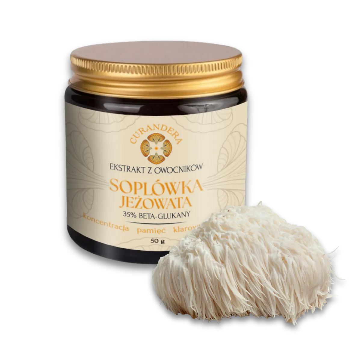 Soplówka jeżowata - Curandera
